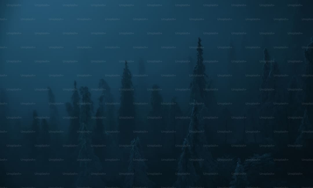 盖尔·加朵回应《白雪公主》票房惨败